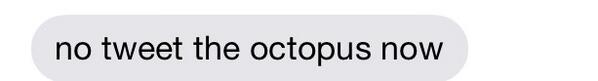 @Marissa_Rado gives the best advice 🐙