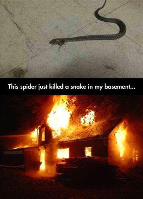 CauseWereGuys's tweet photo. I’d do the same thing http://t.co/OmtiUTjkO7