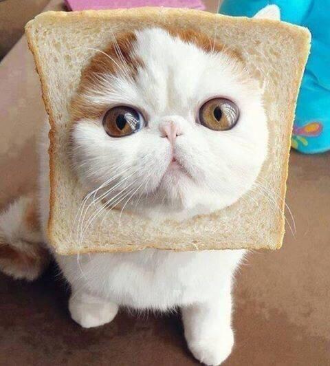 femaIe_books's tweet photo. My face when he says I love you💛💙💜💚 http://t.co/lgPn5nIdwT