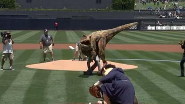 MLBONFOX's tweet photo. A T-Rex threw out the first pitch at the @Padres game today.

Yeah, a T-Rex!

http://t.co/79y73xtu4M http://t.co/pXGN2HzfWQ