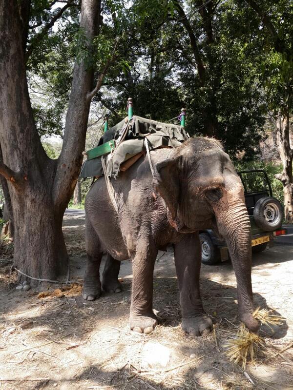 Elephant Safari :-D #HaathiMeraSaathi #TheTrip #May2014 #AAA (@ Kosi River Bank) 4sq.com/RpAsfP