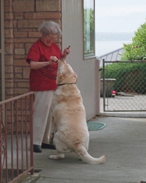 Candace McCutcheon tweet media