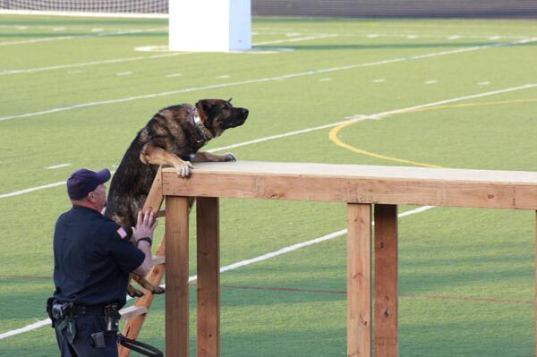 K9Trials2014's tweet photo. Almost there! @K9Trials2014 #uspolicecanineassociation http://t.co/vAruqfNMGZ
