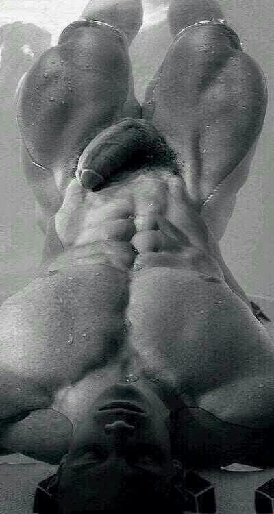 LuisCircusleon's tweet photo. Hello Twitter World. I'm back. Sorry for the absence. http://t.co/ncmkYpjIjo