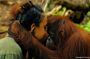 Imagine. One time, we shared the trees. Is it so hard to imagine us sharing the world? opf.org