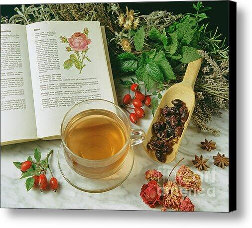 emilioereza's tweet photo. New artwork for sale! - "Roses infusion." - http://t.co/b3YqxCRVrT @pixelswebsite http://t.co/0PClL52L05
