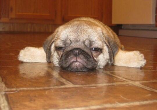 Just. So. Tired. http://t.co/alflK36zek