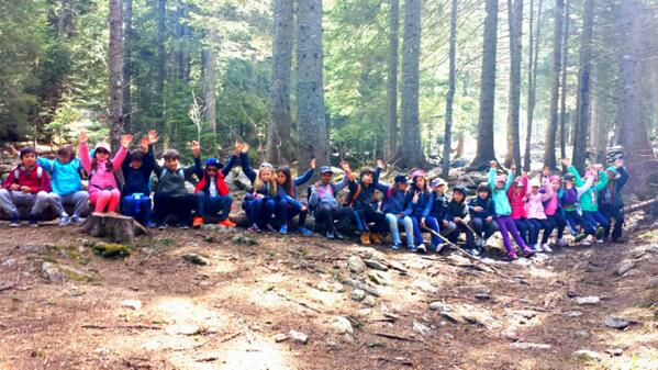 Year3_ISM's tweet photo. Y3 having #fun in the #woods #happykids :) @ISMPrimary @MissNARossi @misspierson98 @JenOFee http://t.co/0s729Ysv0U