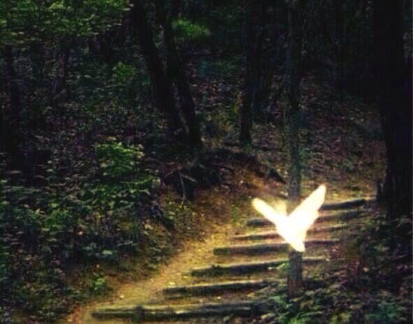 bigbanggdragon7's tweet photo. 韓国で流行ってるらしい！この写真RTしたらいい事あるって！
実際今日、
おばあちゃんからお金もらって、ずっと探してた少女時代のチケット譲ってくださる方見つかって、好きな人からLINEきて。なんでだろうとおもったら前日にこれRTしてた http://t.co/L8t2vxqHEq
