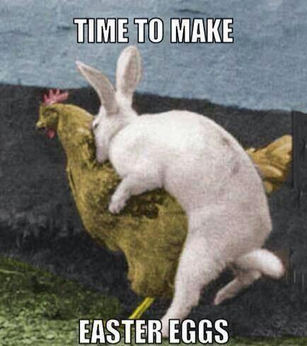 Is this really how Easter Eggs are made lmfao.