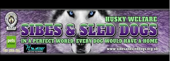 S.A.S.D (@sibessleddogs) on Twitter photo 