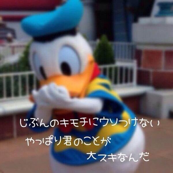 ドナルドダック Dnrdu Twitter