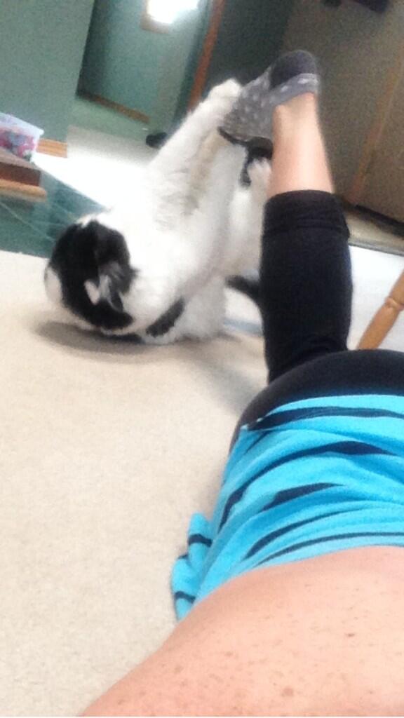 Brittany Galen tweet media