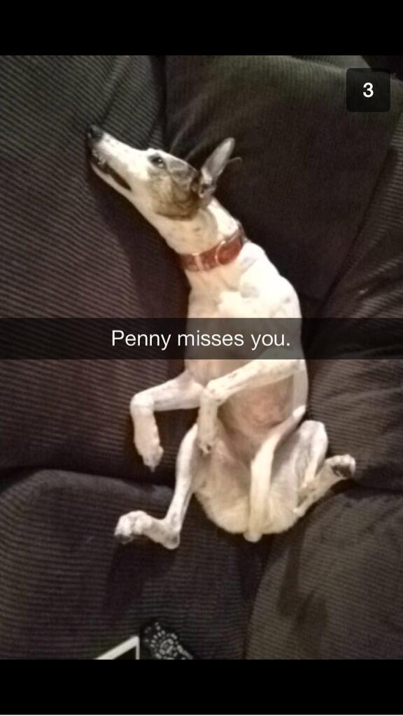 A snapchat worth sharing