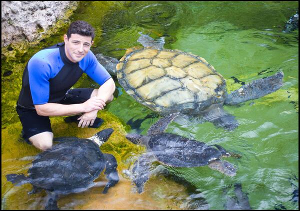 SeaWorld's tweet photo. Congratulations to @SeaRescueTV for its Daytime Emmy nomination for Outstanding Children’s Series! http://t.co/WXCp2KuuHi