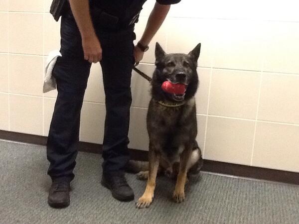 A wonderful visit from Poco to our Kindergarten.