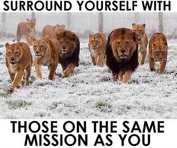 BestProFitness's tweet photo. 💯👌 http://t.co/3bsoQSRJES