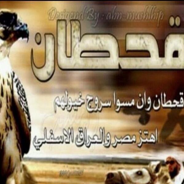05000Shosho tweet picture
