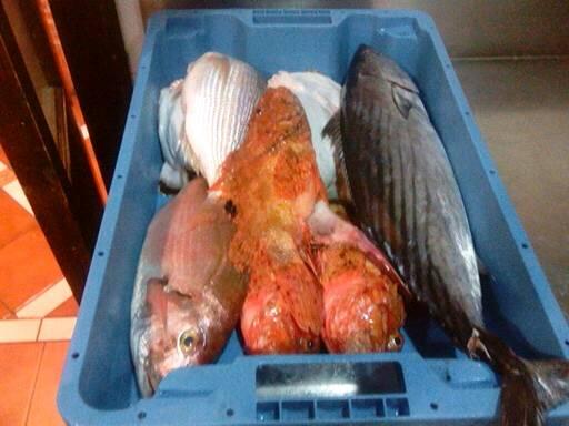 PaLiquid's tweet image. 