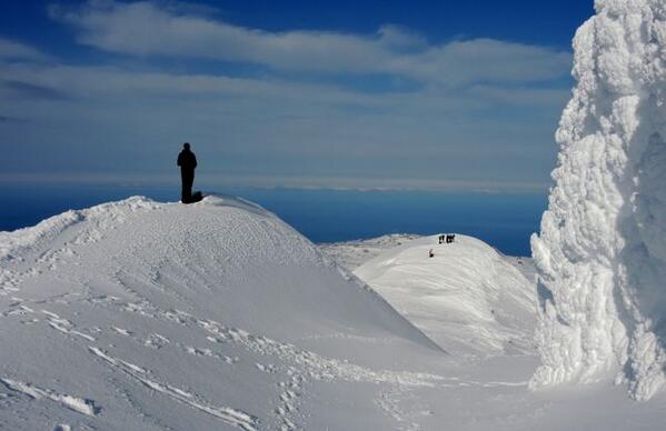 TinyIceland tweet picture