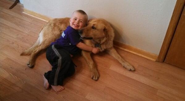 A3Noticias's tweet photo. Un perro se escapa de casa para rescatar a su dueño de tres años que se había perdido http://t.co/5o2mMdt86Z http://t.co/Nd3jL0tHjd