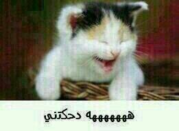 basra_aaa tweet picture
