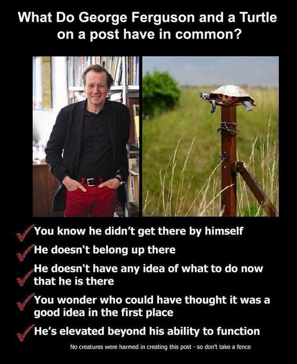 punchy456's tweet photo. Made me laugh @CliftonVillage @smileymileyuk http://t.co/kSktckcO2r