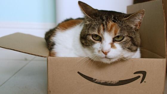 Fun's over! Floridians paying sales tax on <a href="/amazon/">Amazon</a> purchases starting today. bit.ly/1nltztt