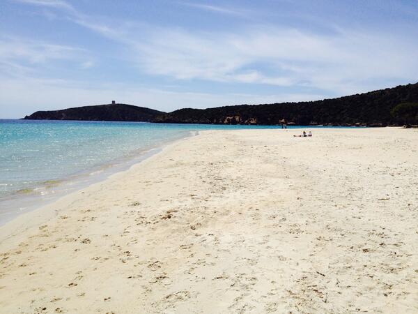 ledunebb's tweet image. Tuerredda