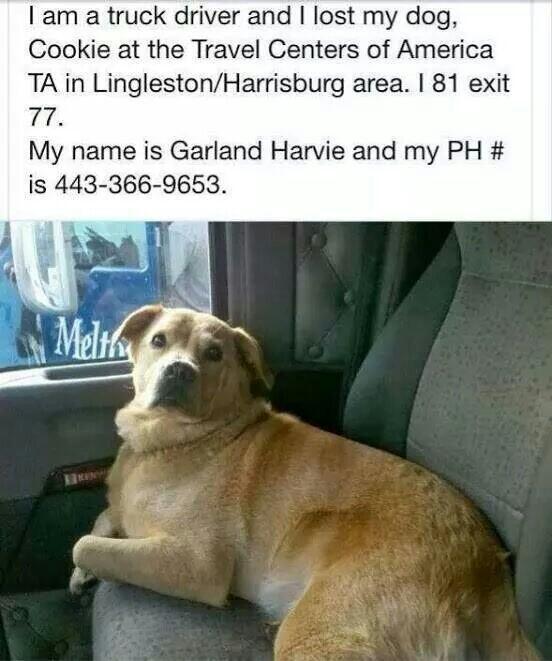 gonzotrucker's tweet image. Please retweet, I don't ask often. #trucker #TruckDriver #trucking