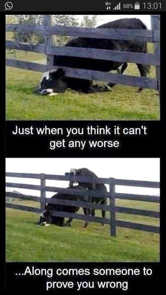 utilos's tweet image. #BadLuck