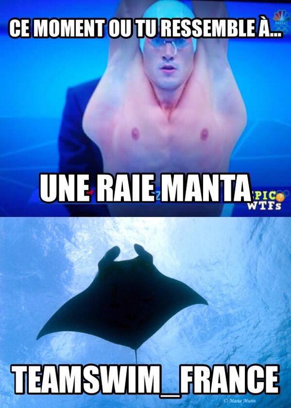 TeamSwim_FRANCE's tweet photo. Ce moment ou...

#TeamSwimFRANCE 🏊🏊🏊🏊🏊🐠🐠🐠 http://t.co/nZdHADRy2N