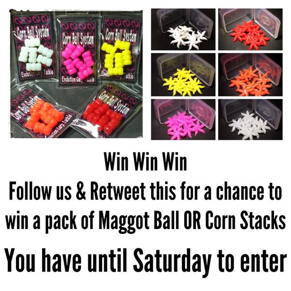 EvolutionCarpTackle tweet media