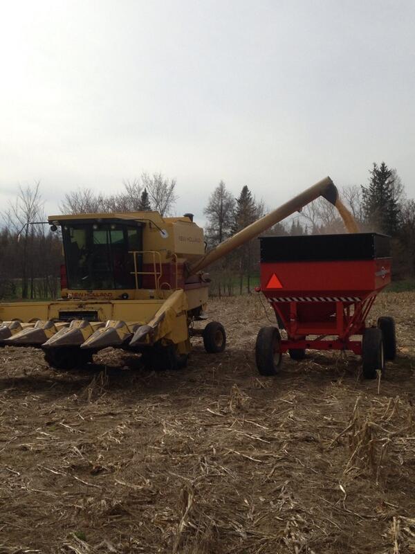 tysnix's tweet photo. #Harvest13resumed http://t.co/ULk1viIIVS