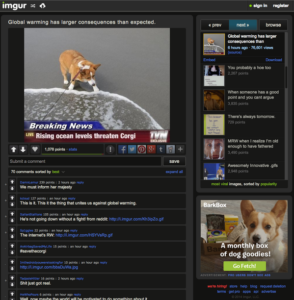 calm paws calming disk