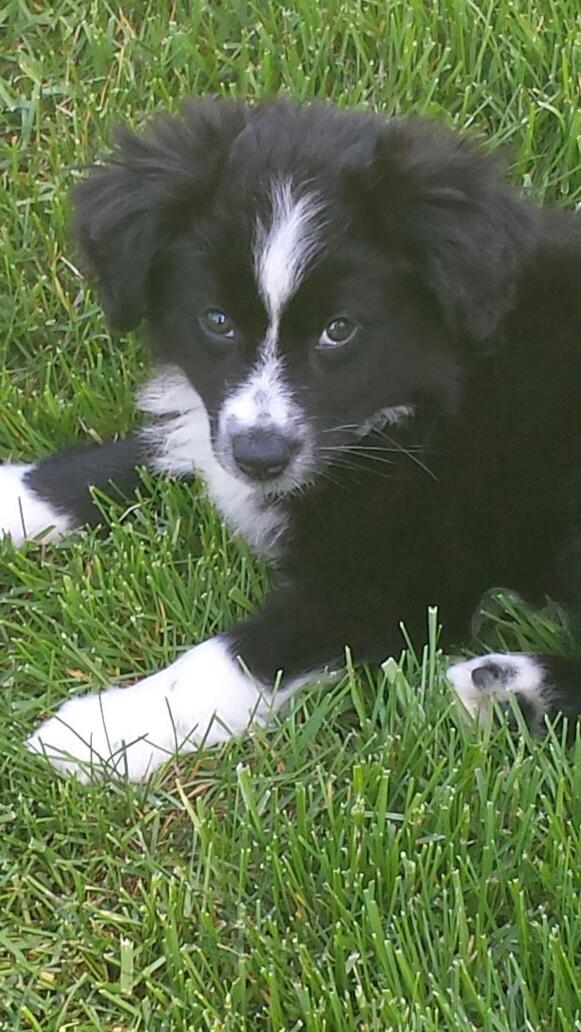 SprunkVictoria's tweet image. This cutie (: