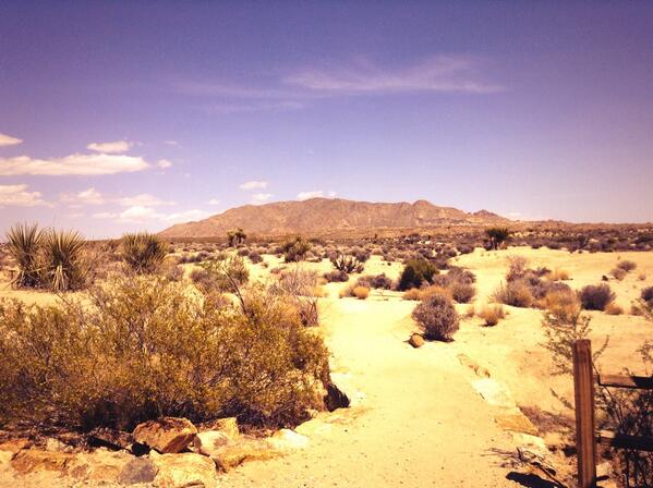 Sandra shopped &amp; I went to the Joshua Tree National Park