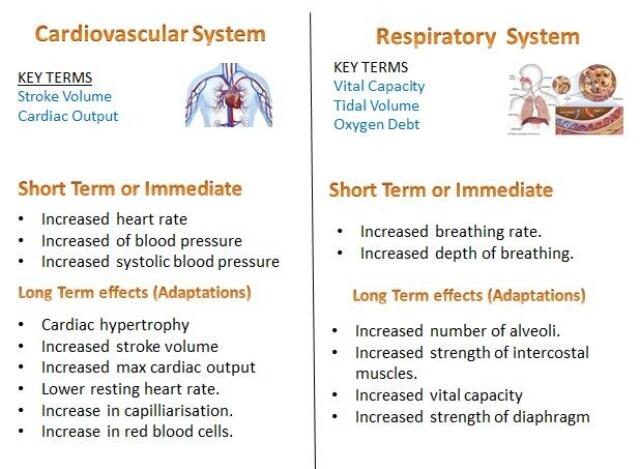 QMHS PE on Twitter: "GCSE PE revision for the short & long term effects