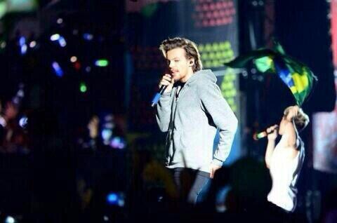 laurinahwings's tweet image. Nouis ♡♡ #1DWelcomeToBrazil #CoberturaWWATBR