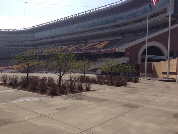 Tim Beekman Jr. tweet media