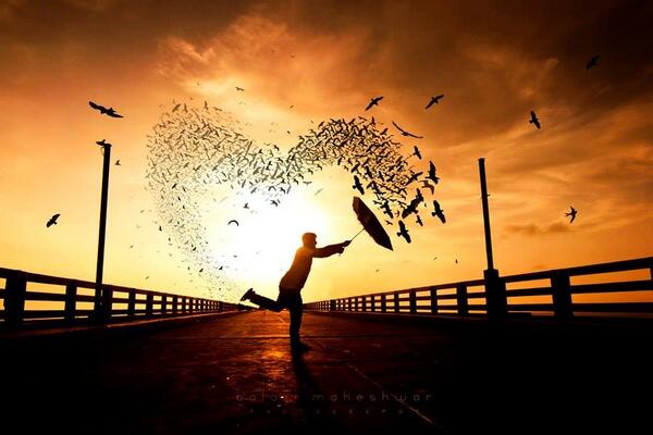 Gabriele_Corno's tweet photo. Spring in love by Balaji Maheshwar #CGE http://t.co/IqvZmnfQfu