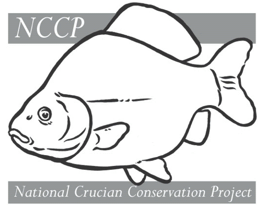 National Crucian Conservation Project to launch at annual coarse fish conference 28/5/14 anglingtrust.net/news.asp?secti…