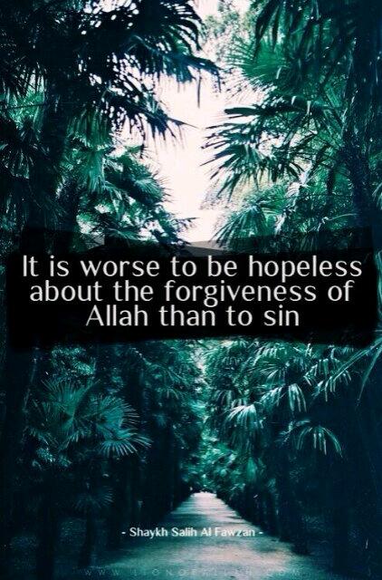 [Shaykh Salih Al Fawzan].