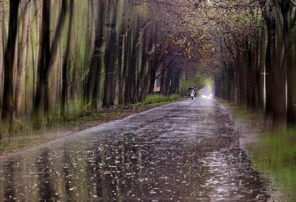 Gabriele_Corno tweet picture