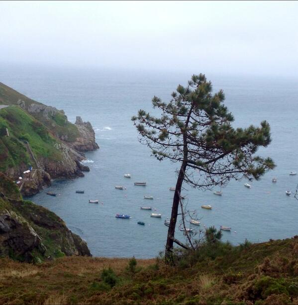 Permalien de l'image intégrée