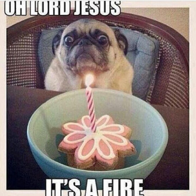 It's my birthday. All of my posts today will basically just say that... http://t.co/4uRtqvfelw