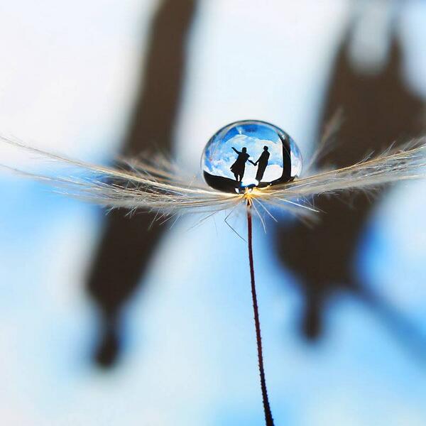 Gabriele_Corno's tweet image. The world in a drop by Kara-a #Zen #Life #CGE #Spring