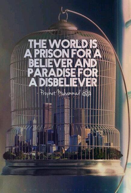 . (@inviteislampic) on Twitter photo 