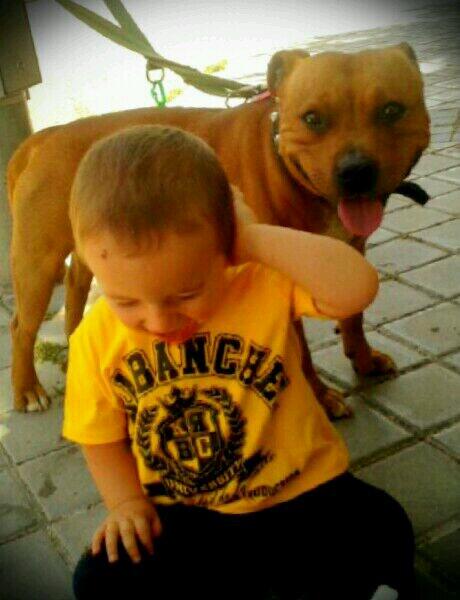 slumwear's tweet image. Slumdogz &amp;amp; Rudeboyz #SLUMWEAR #SLUMCREW #SLVM #KRBC #KARABANCHEL