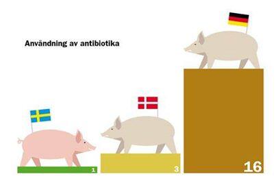 LRFSverige's tweet photo. #enbonde i Sverige ger djur minst antibiotika i hela EU. Danmark 3 ggr mer Tyskland 16 ggr Vilket kött köper du? http://t.co/BMIn5j3nwP